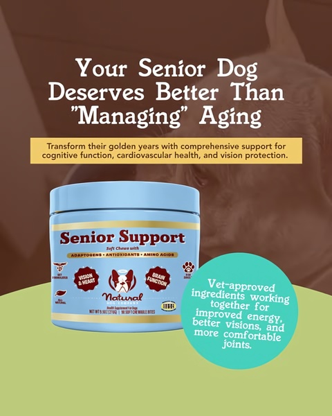A 4:5 vertical ad for senior dog soft chews, featuring a clear, benefit-driven headline and product imagery against a warm background.